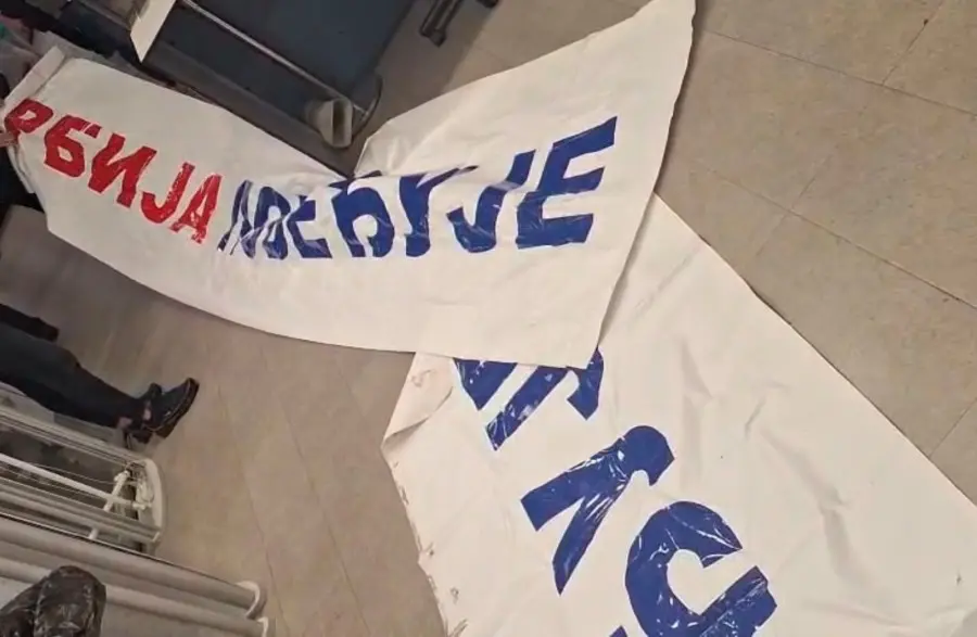 PONIŽAVANjE VUČIĆA: Crnogorska policija zaplenila SNS transparente - pa proterala Vučićeve batinaše (FOTO)