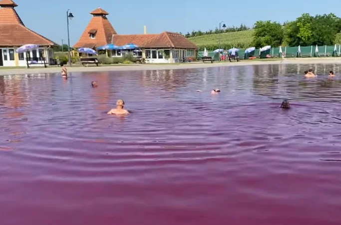 Србија нема море али има слано језеро (ВИДЕО)