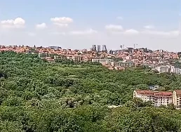 Firma u blokadi hoće da zida na hiljade kvadrata u Bajdinovoj šumi na Mirijevu: Vlast pripremila plan, ne brine o klizištu
