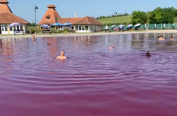 Србија нема море али има слано језеро (ВИДЕО)