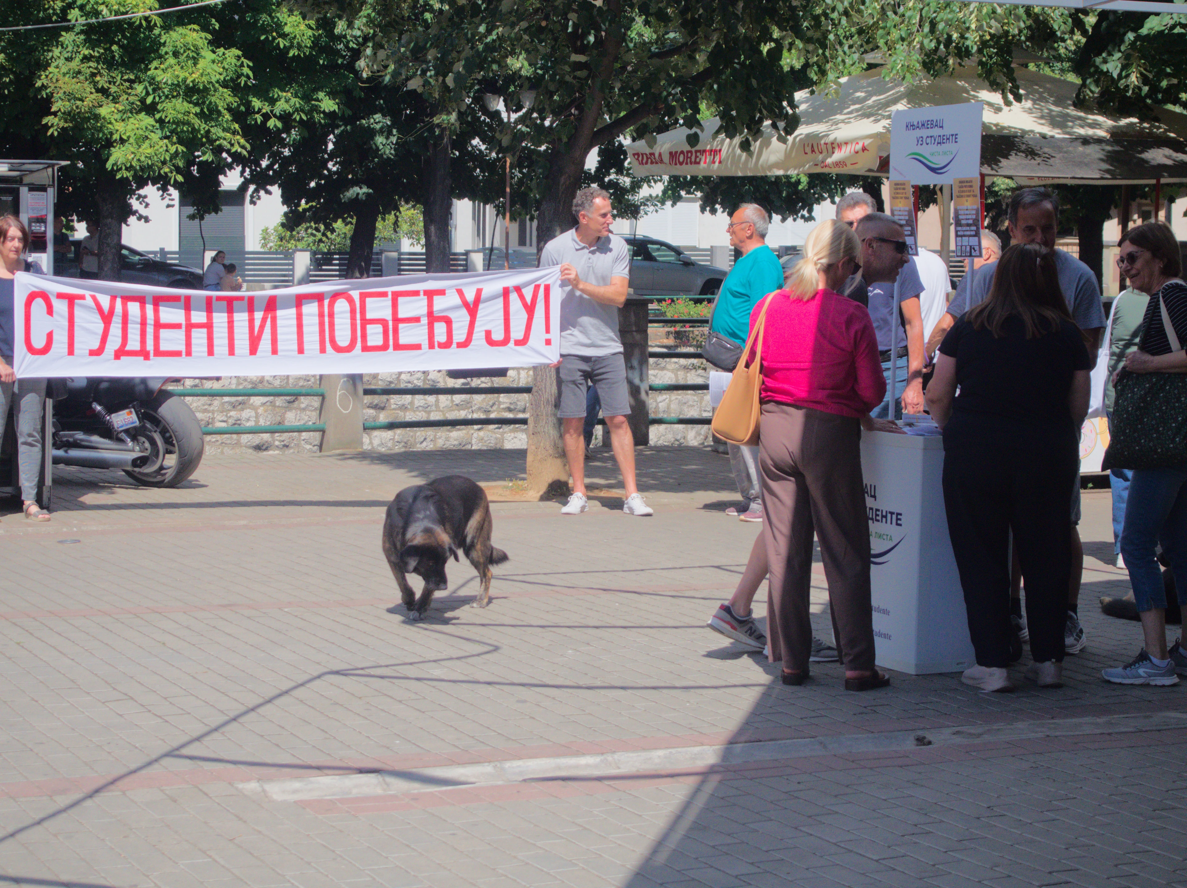 ЗА САМО ТРИ САТА 2.000 ПОТПИСА ПРОТИВ РУДНИКА: Овде ја живим и не желим да се селим!